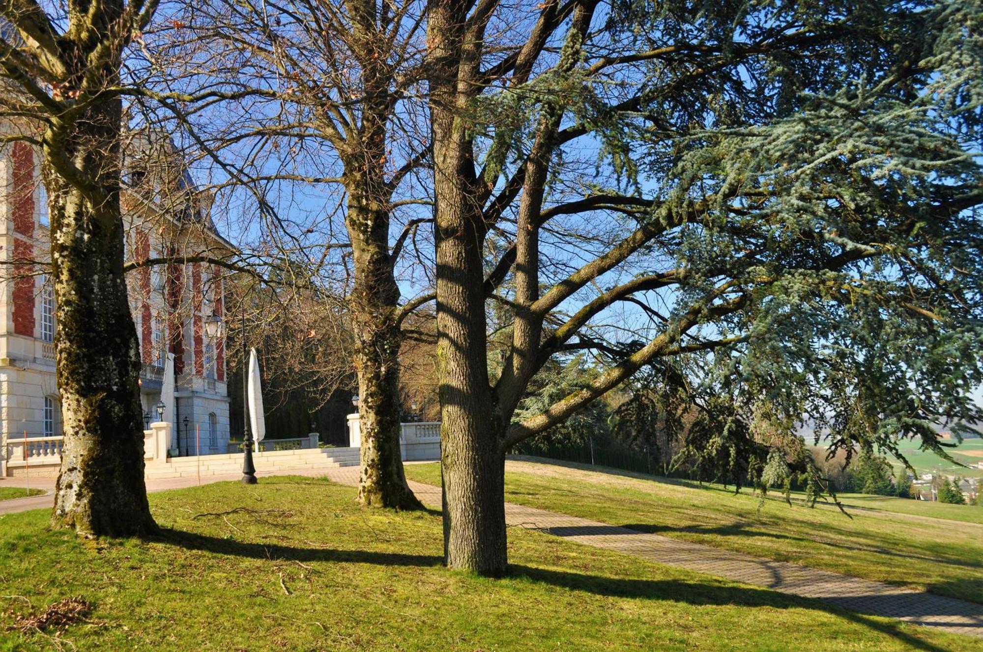 Domaine De Mont-Renaud 호텔 Boncourt 외부 사진